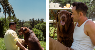 “Cuando la Vida Duele”: la nueva y conmovedora balada de Luciano Pereyra dedicada a los animales